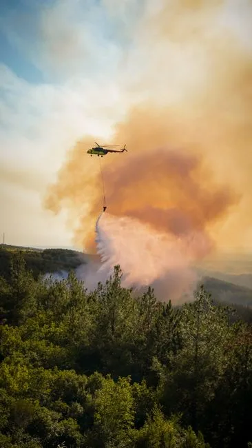 Incendios en Madrid y Ávila: 20.000 desalojados y fuego se une