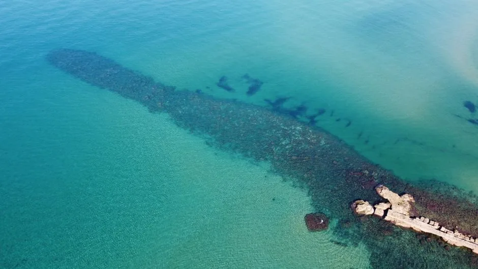 La Armada protege el lecho marino, columna vertebral de la soberanía