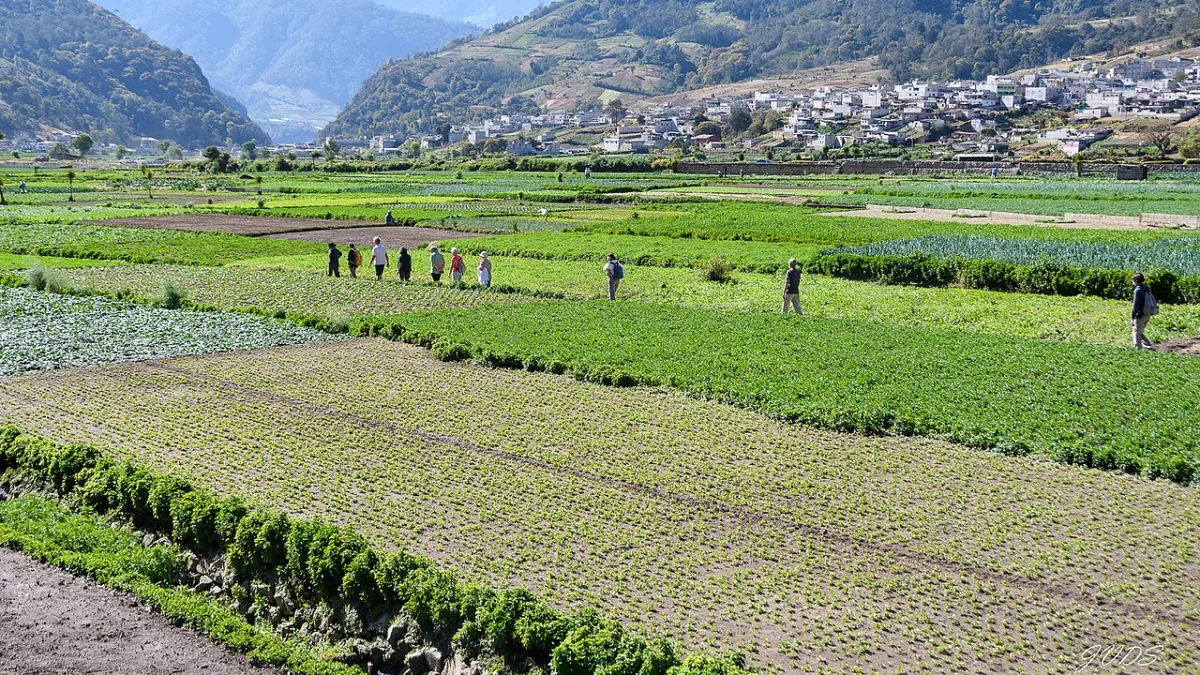 Imagen de Almolonga (Departamento de Quetzaltenango)