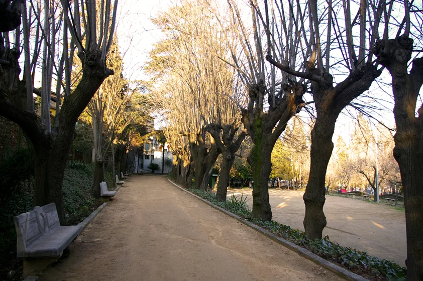 Imagen de Anglés (Selva)