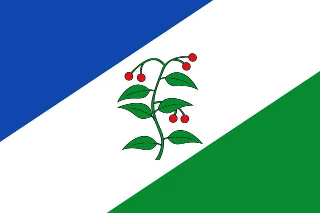 Imagen de Arbucias (provincia de Gerona)