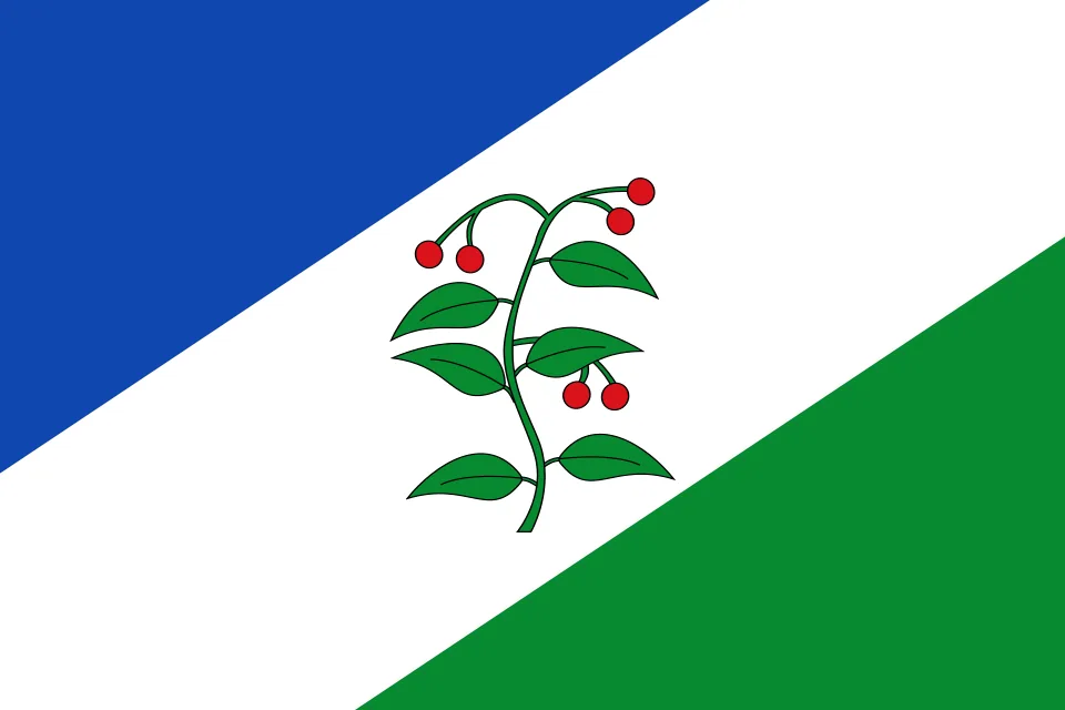 Imagen de Arbucias (provincia de Gerona)