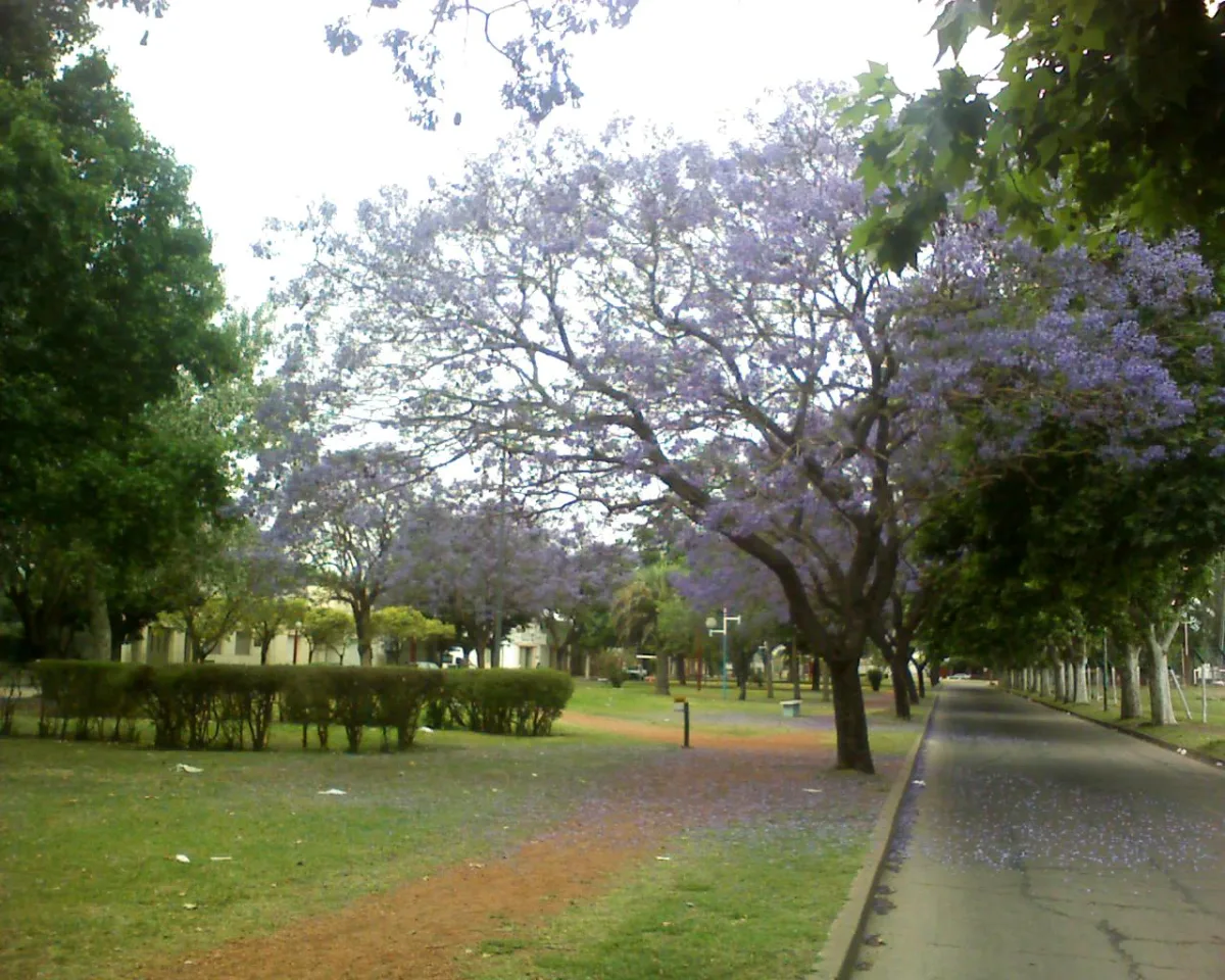 Imagen de Arroyo Seco (Departamento Rosario)