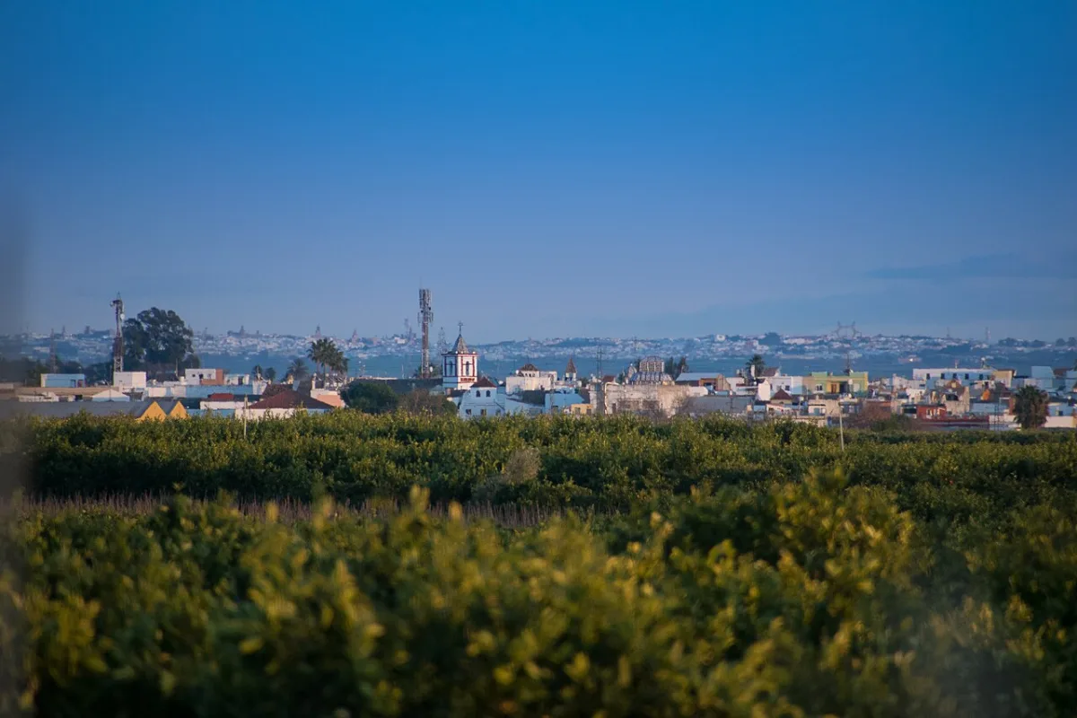 Imagen de Brenes (provincia de Sevilla)