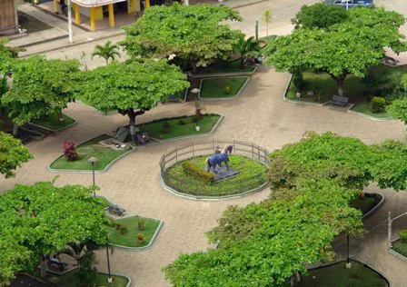 Imagen de Calceta