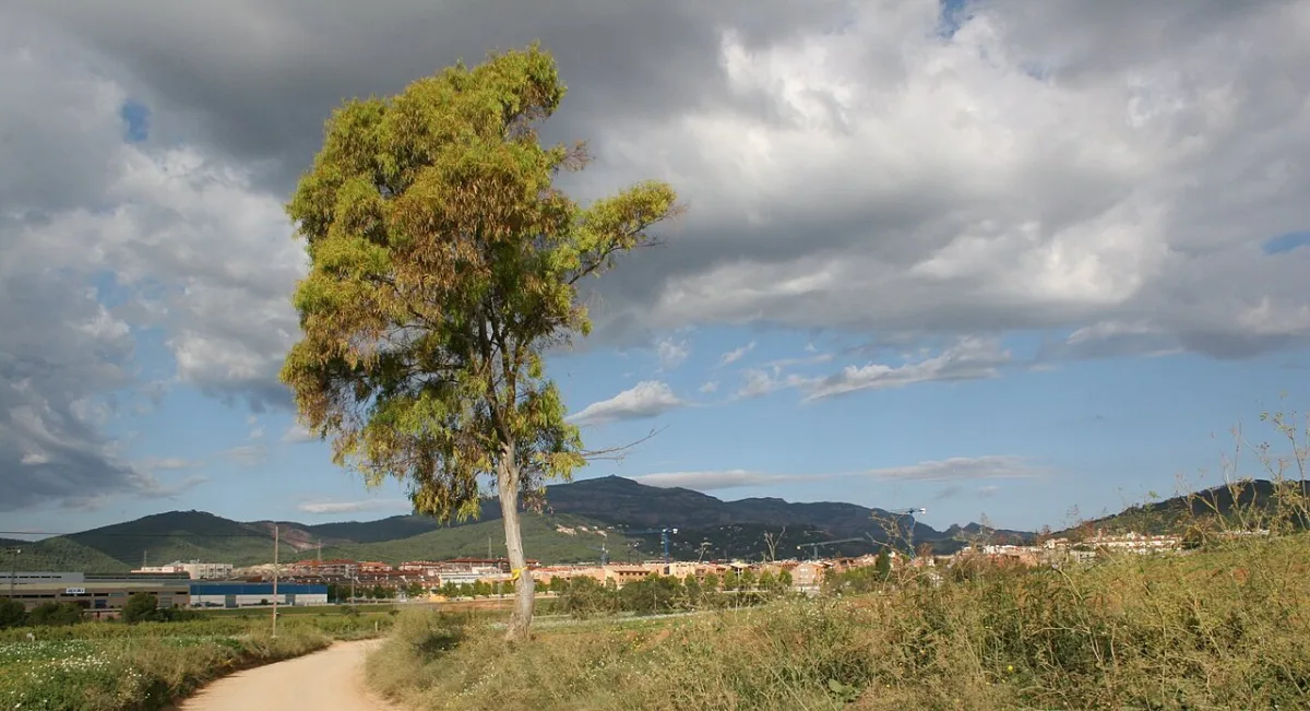 Imagen de Castellar del Vallés (Vallés Occidental)