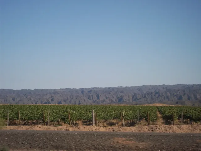 Imagen de Caucete (Provincia de San Juan)