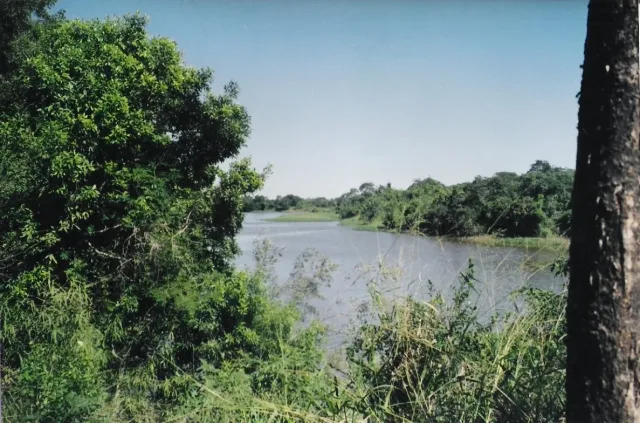 Imagen de Chaco (Argentina)