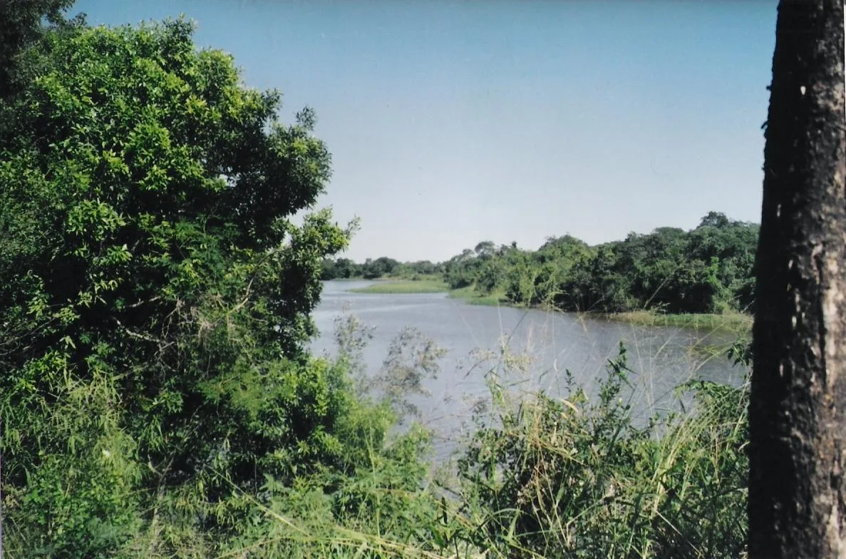 Imagen de Chaco (Argentina)