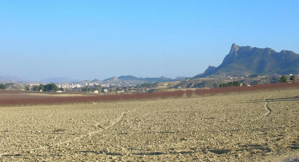 Imagen de Cieza (Región de Murcia)
