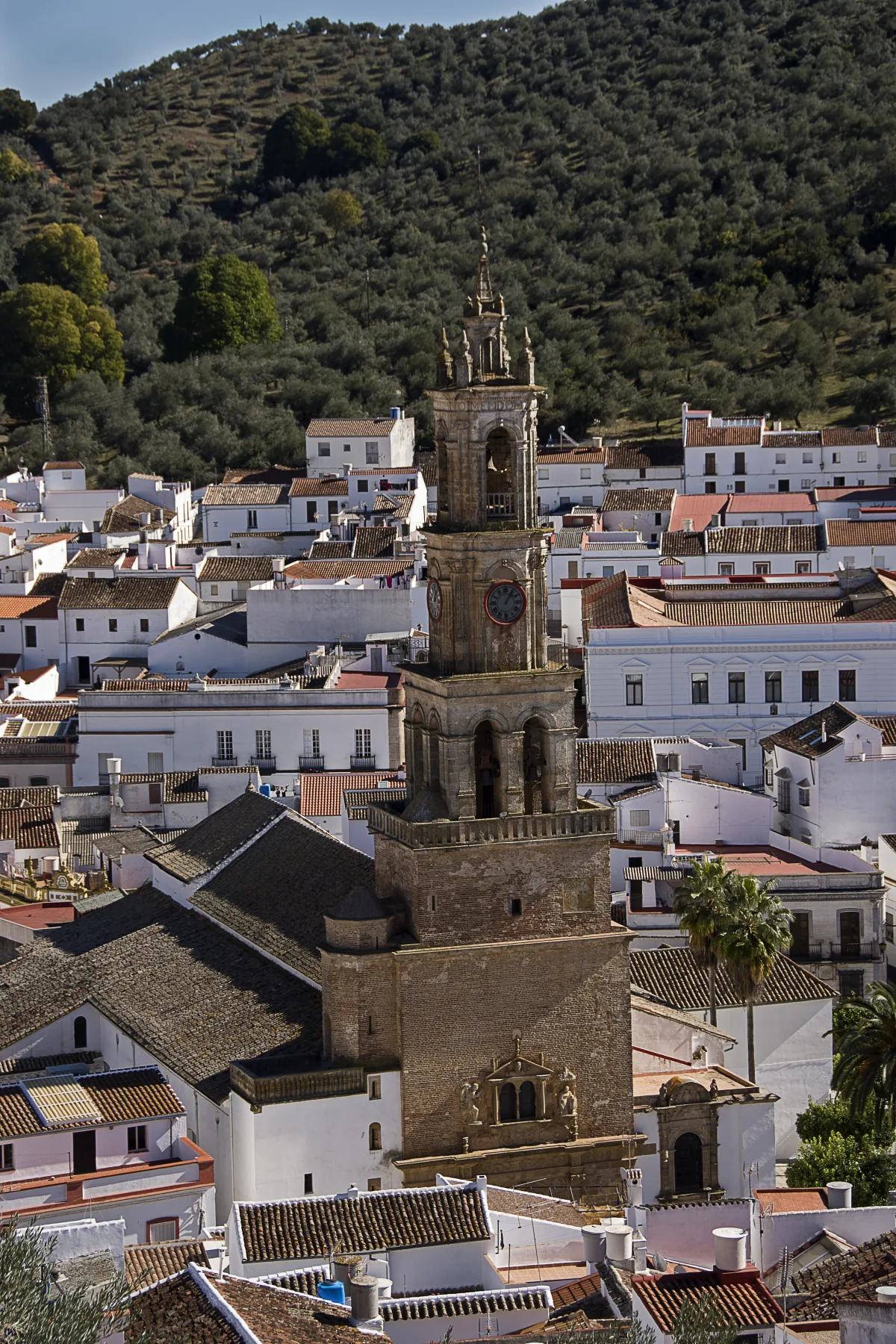 Imagen de Constantina (provincia de Sevilla)