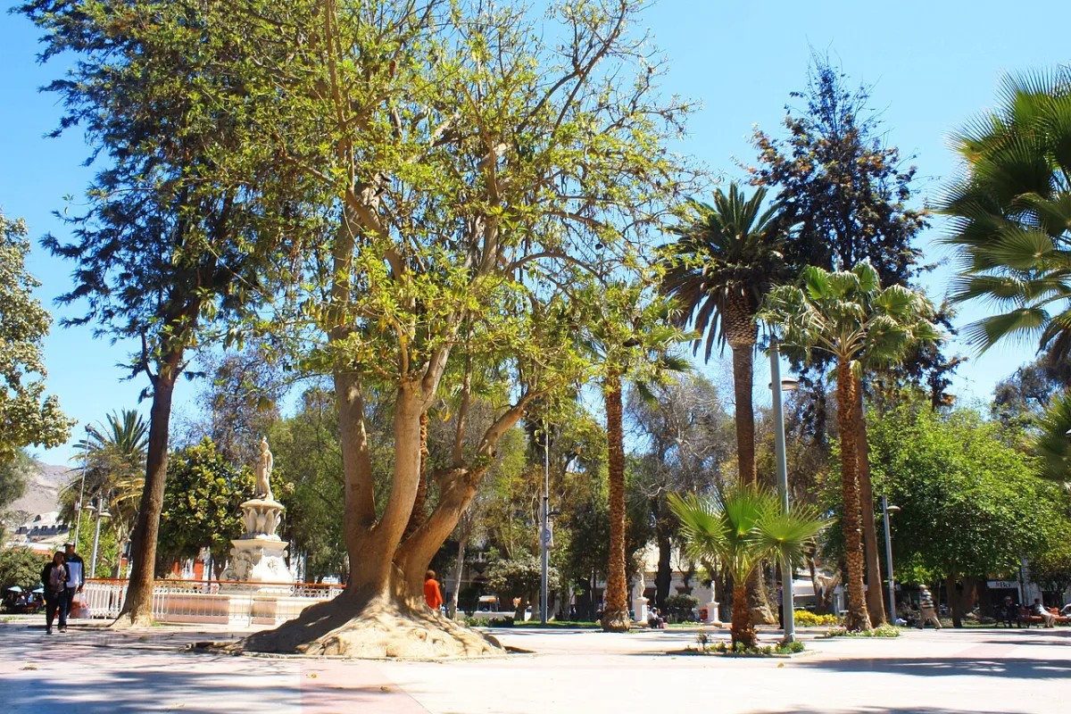 Imagen de Copiapó (Copiapó)
