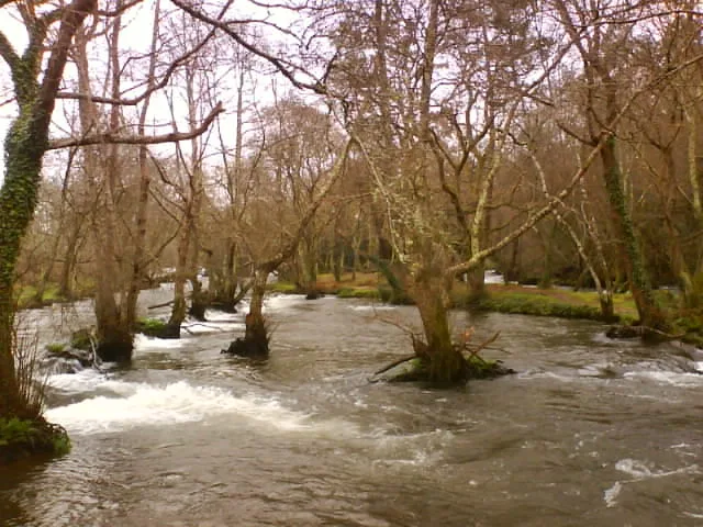 Imagen de Coristanco (provincia de La Coruña)