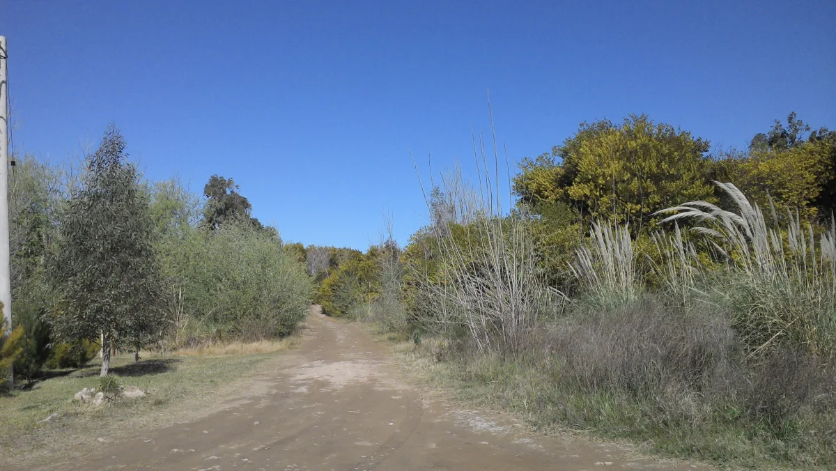 Imagen de Coronel Dorrego (Provincia de Buenos Aires)