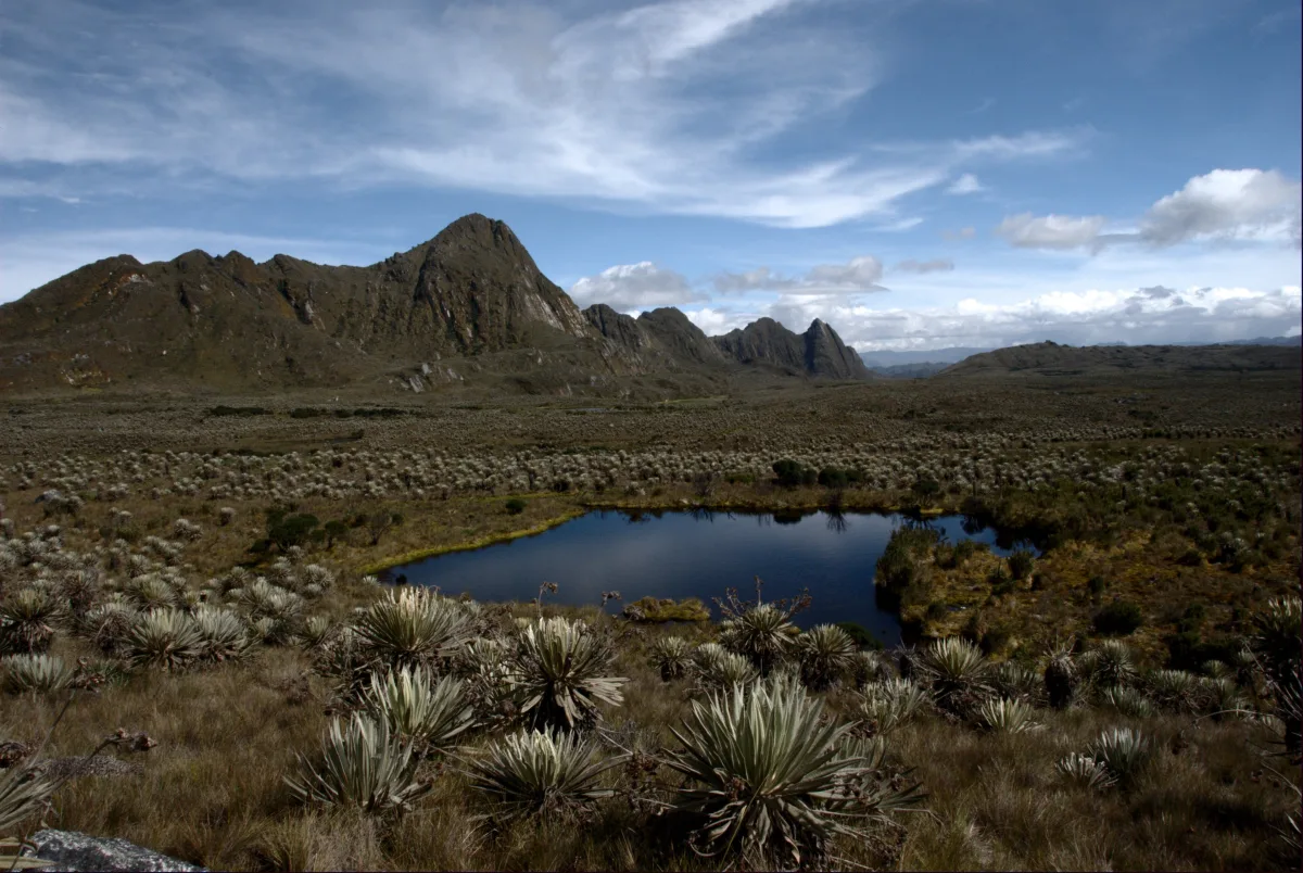 Imagen de Cundinamarca (Colombia)
