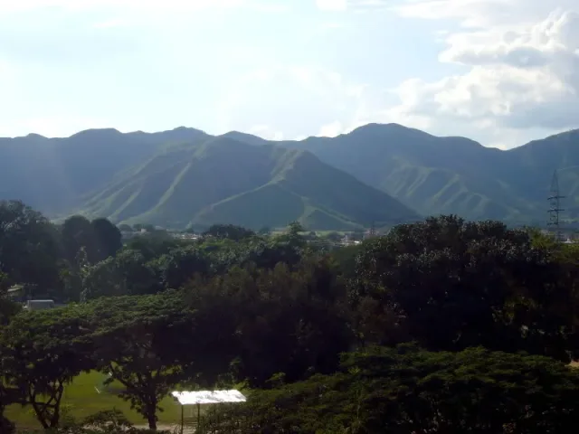 Imagen de El Limón (Aragua)
