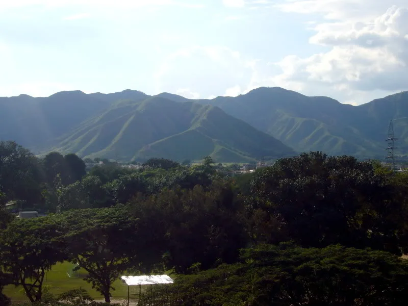 Imagen de El Limón (Aragua)