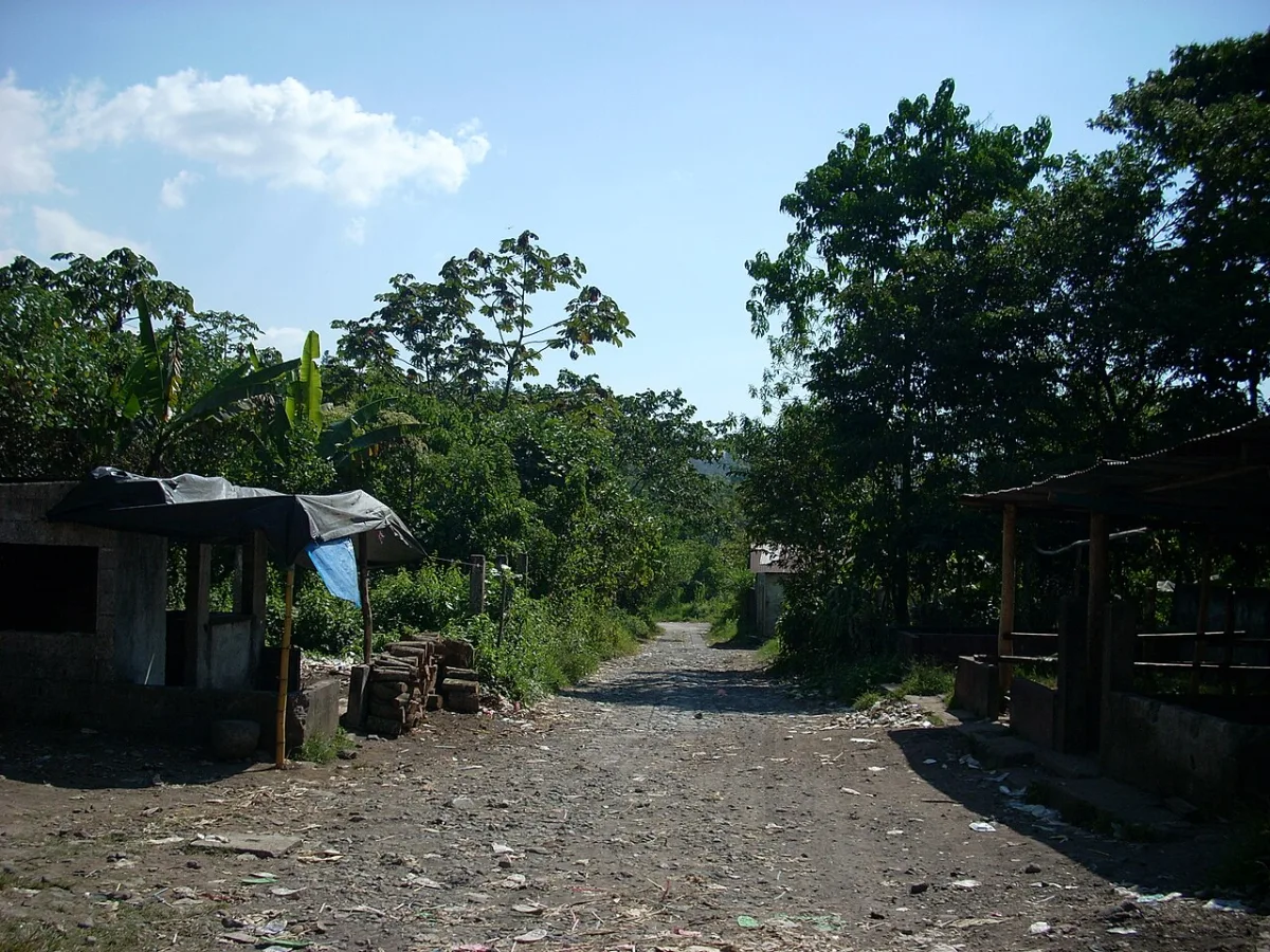Imagen de El Palmar (Departamento de Quetzaltenango)