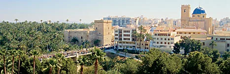 Imagen de Elche (provincia de Alicante)