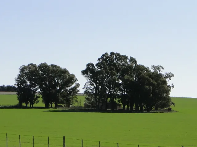 Imagen de General la Madrid (Provincia de Buenos Aires)