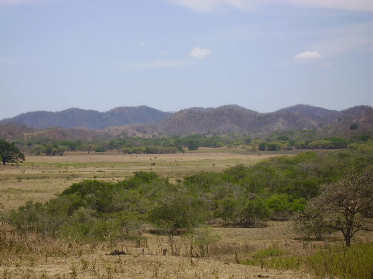 Imagen de Guanacaste (Costa Rica)