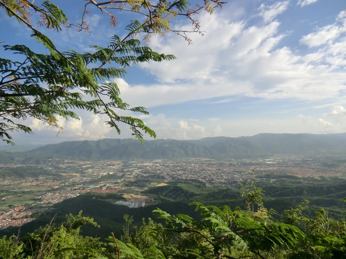 Imagen de Guatire (Municipio Zamora)