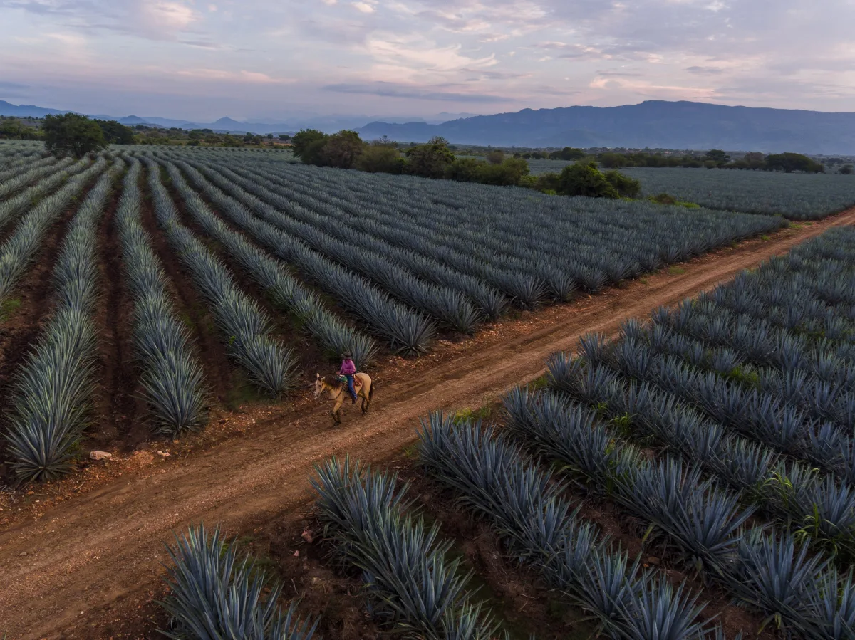 Imagen de Jalisco (México)