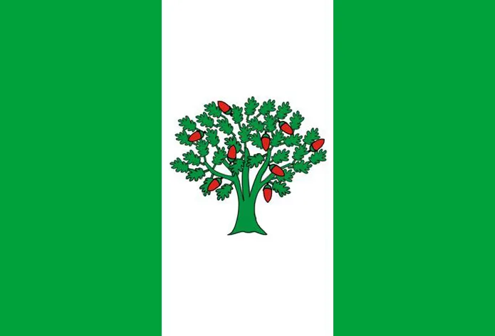 Imagen de La Cañiza (provincia de Pontevedra)