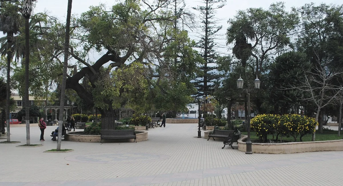 Imagen de La Ligua (La Ligua)
