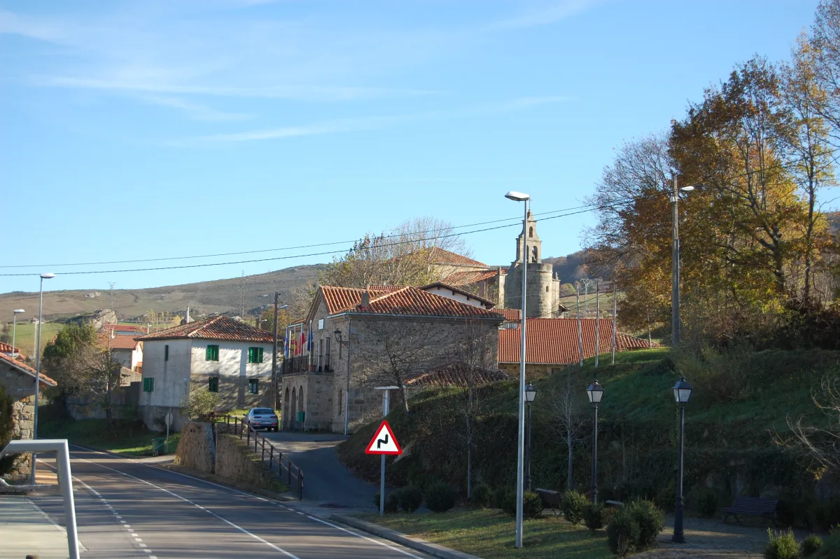 Imagen de Las Rozas (Las Rozas de Valdearroyo)