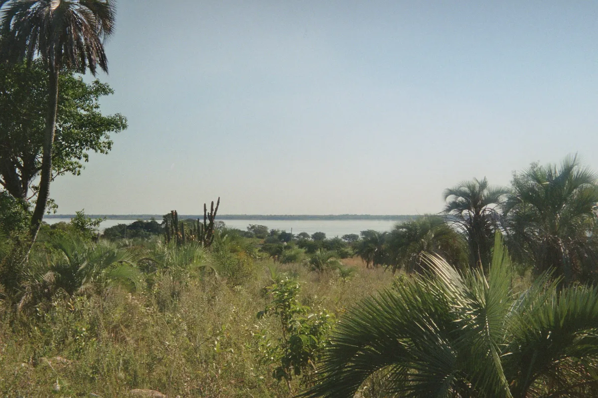 Imagen de Lavalle (Departamento Lavalle)