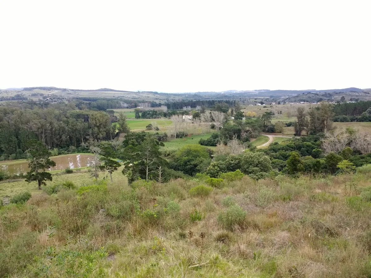 Imagen de Lavalleja (Uruguay)