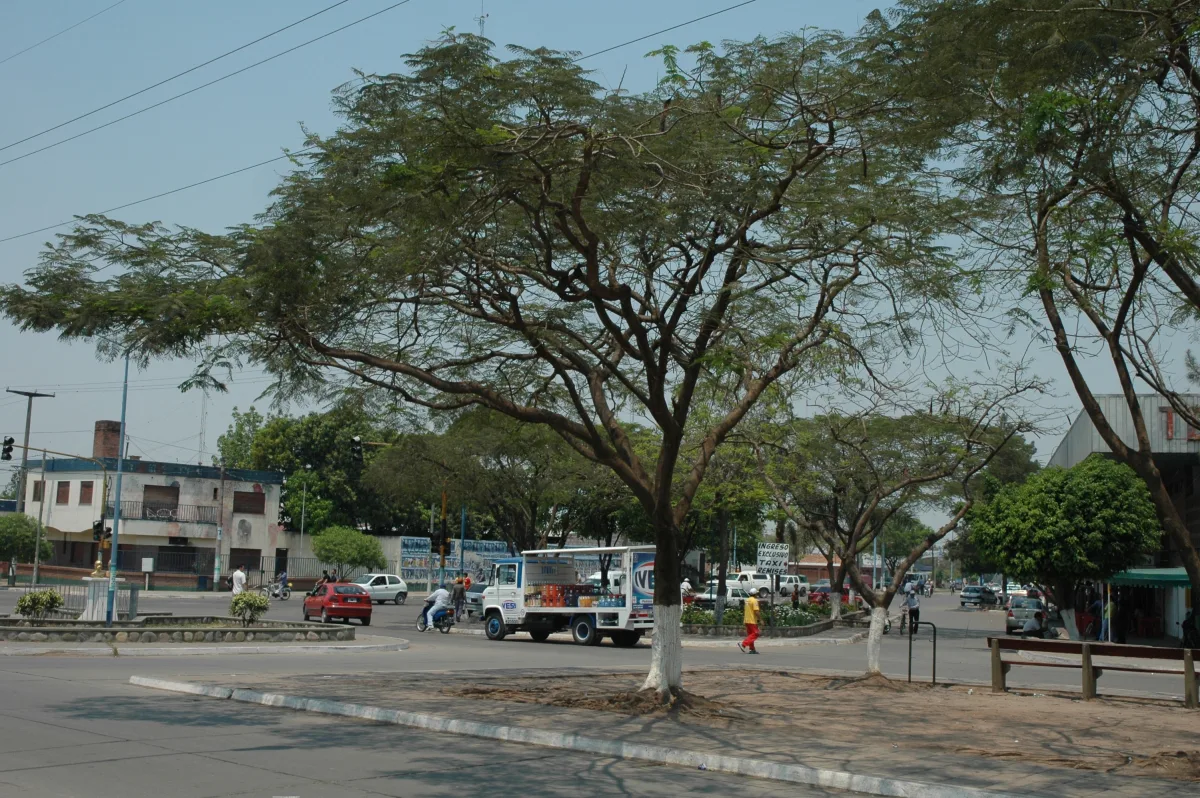 Imagen de Libertador General San Martin (Departamento Ledesma)
