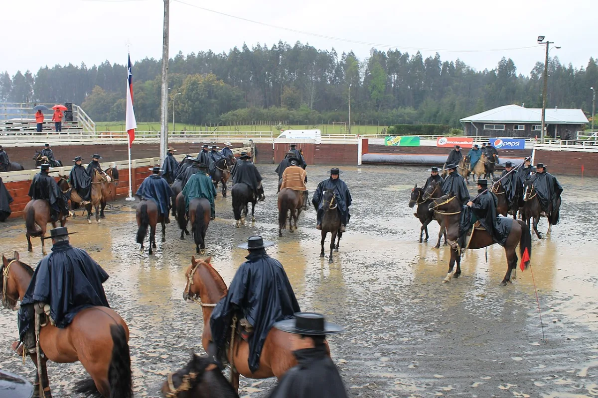 Imagen de Loncoche (Cautín)