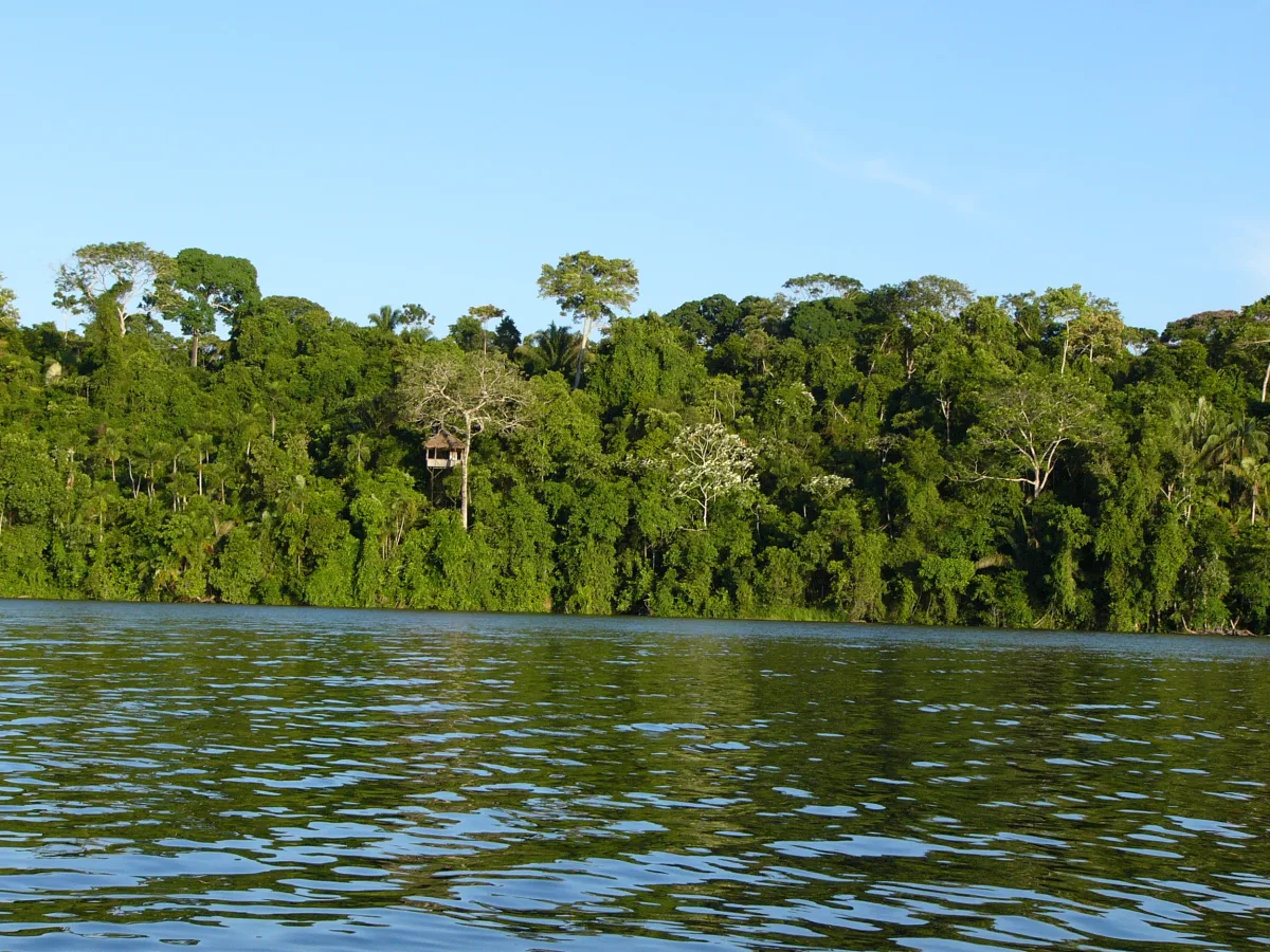 Imagen de Madre de Dios (Perú)