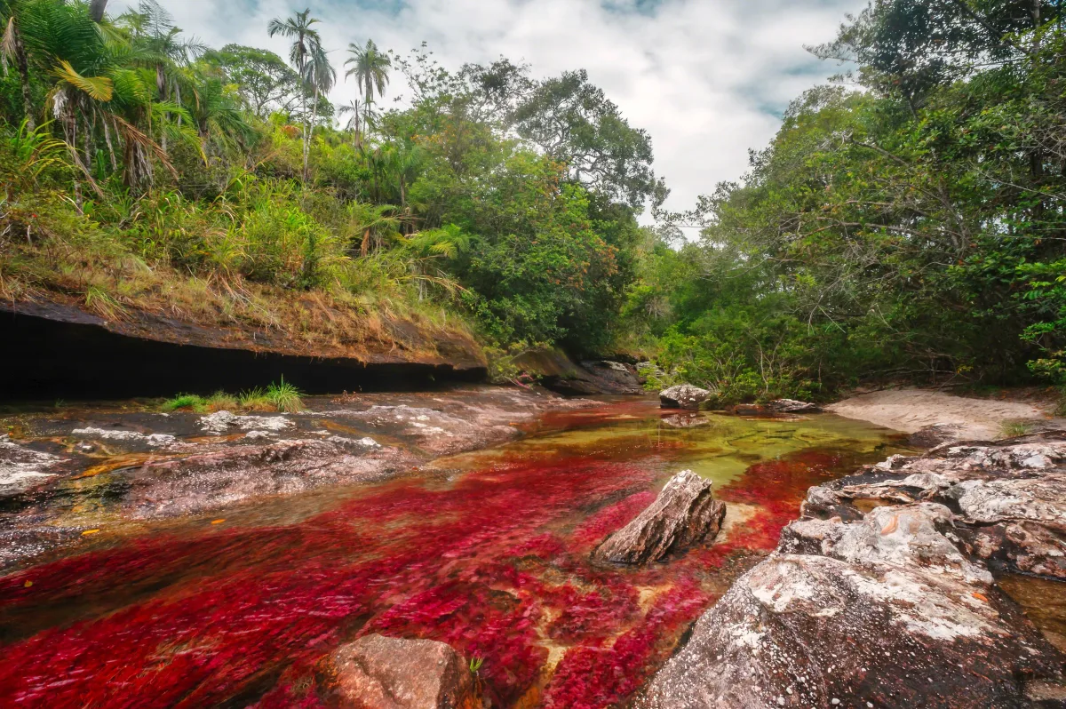 Imagen de Meta (Colombia)