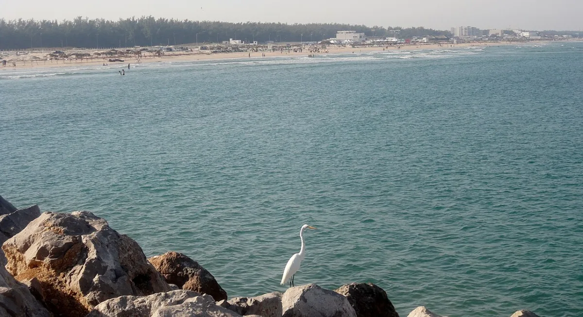 Imagen de Miramar (Municipio de Altamira)