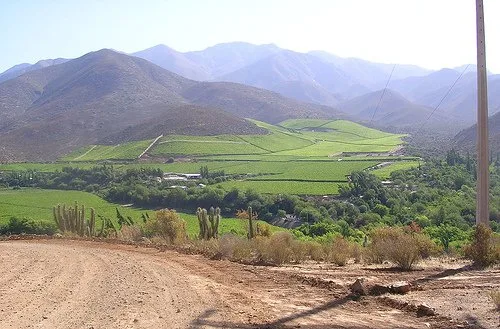 Imagen de Monte Patria (Limarí)
