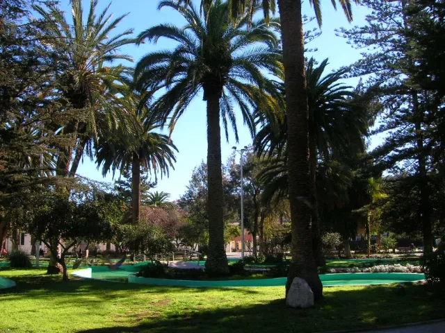 Imagen de Ovalle (Ovalle)