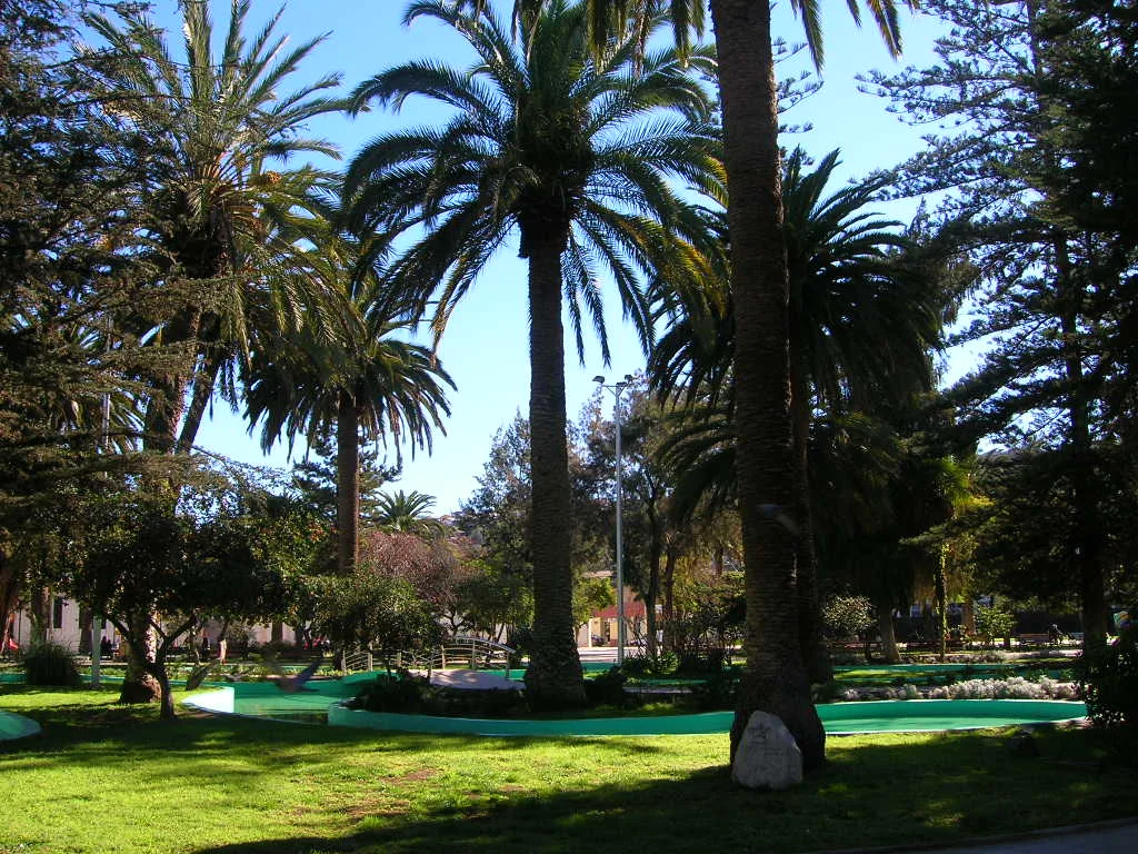 Imagen de Ovalle (Ovalle)