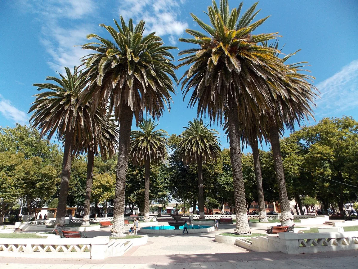 Imagen de Parral (Linares)