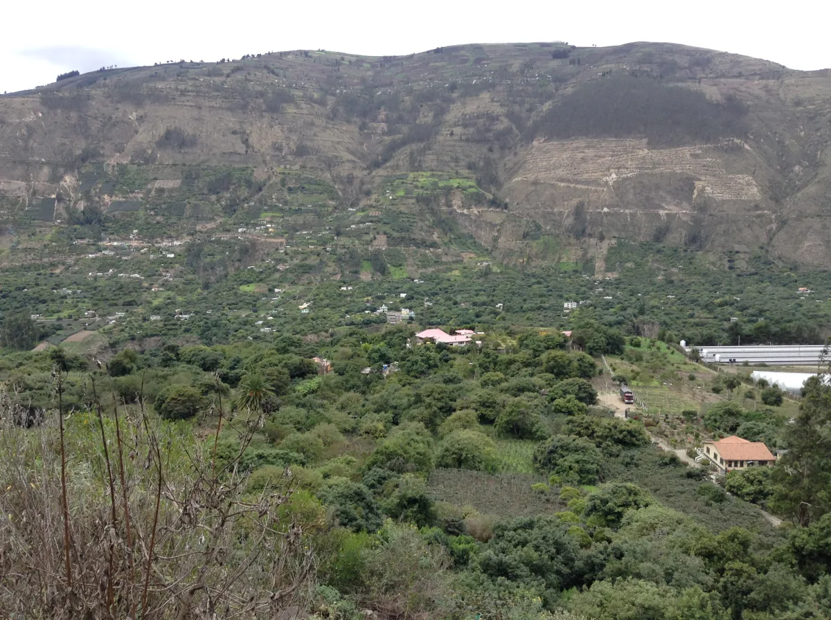 Imagen de Patate (Provincia de Tungurahua)