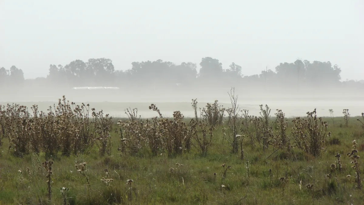 Imagen de Pehuajó (Provincia de Buenos Aires)