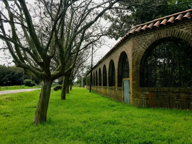 Imagen de Pueblo Esther (Departamento Rosario)