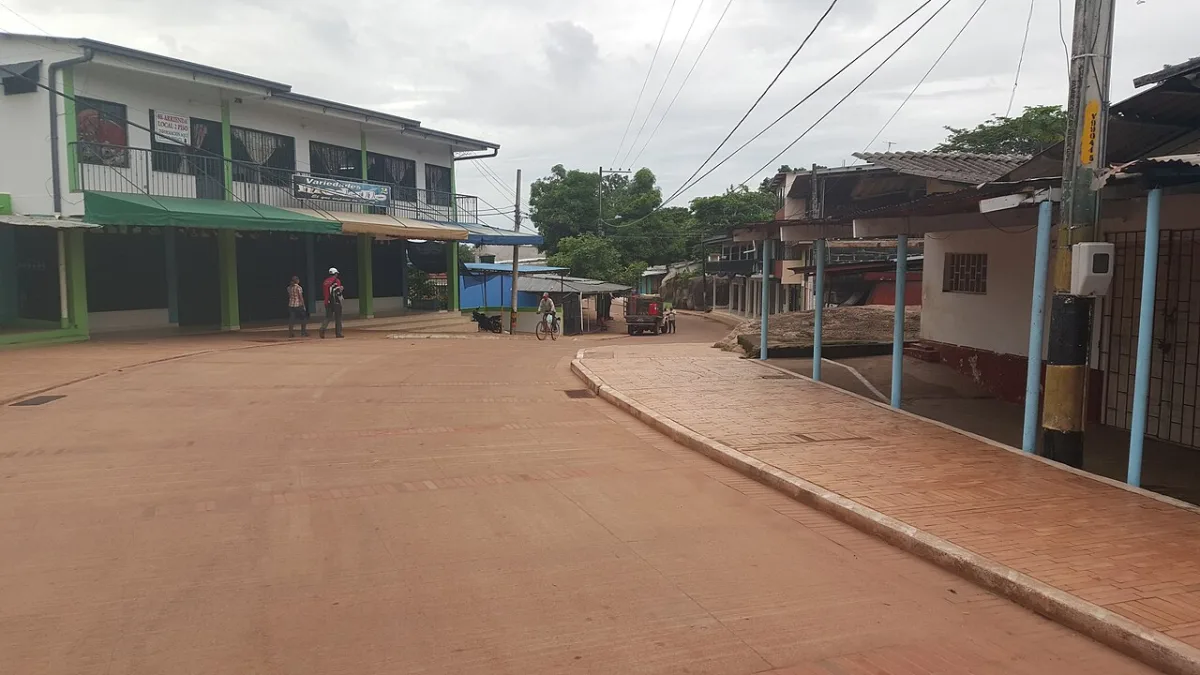 Imagen de Puerto Carreño (Departamento del Vichada)