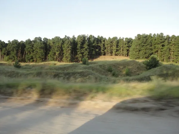 Imagen de San Cayetano (Provincia de Buenos Aires)