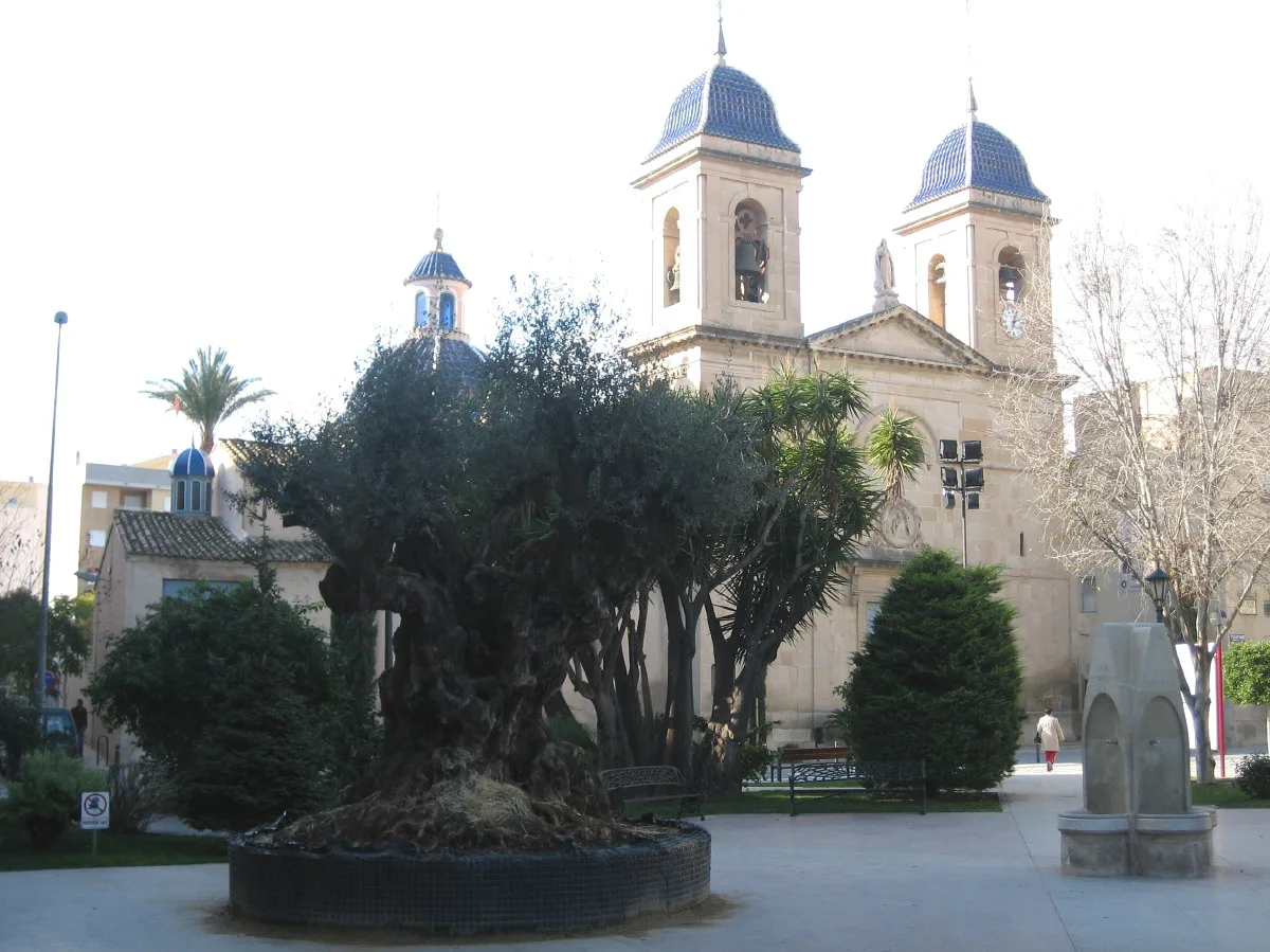 Imagen de San Juan de Alicante (Campo de Alicante)