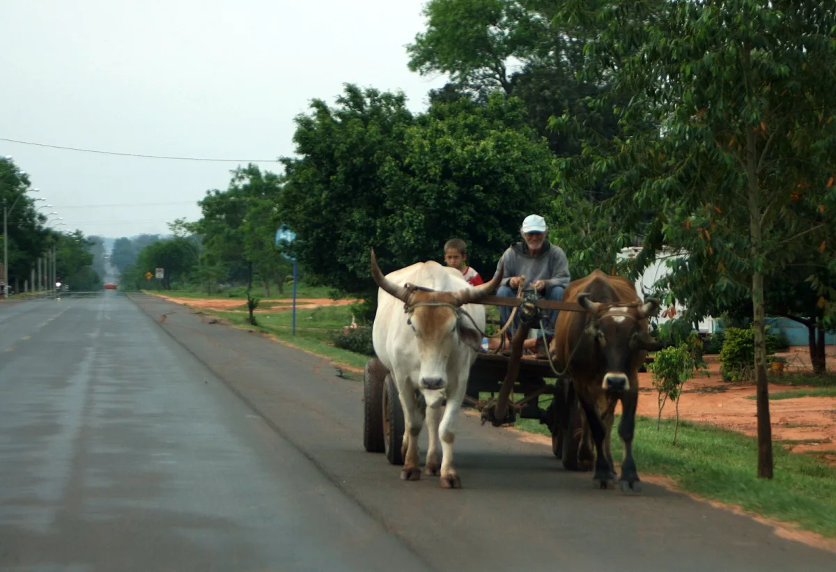 Imagen de San Pedro (Paraguay)