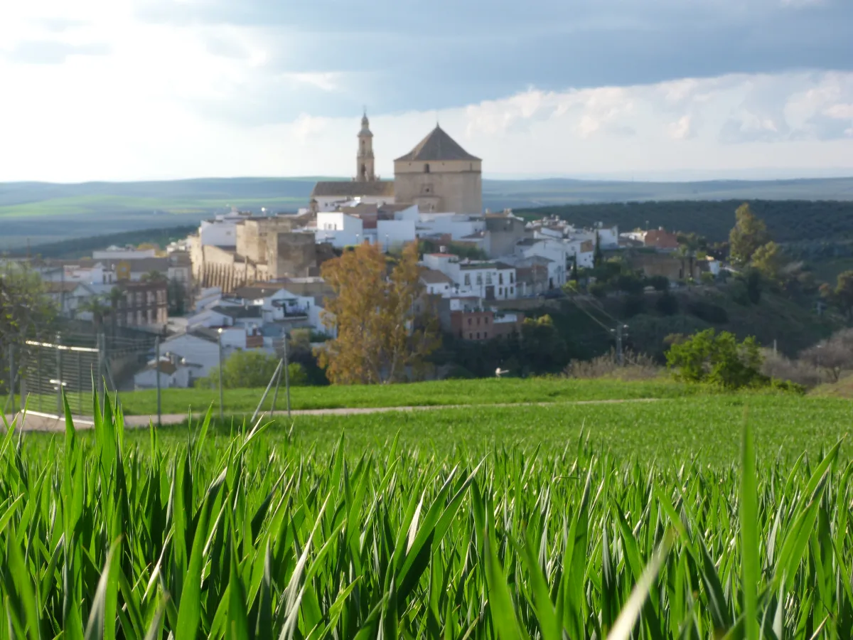 Imagen de Santaella (provincia de Córdoba)