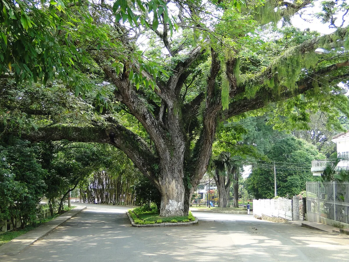 Imagen de Santander de Quilichao (Cauca)